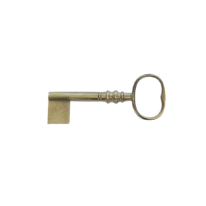 DS09 Key Blank